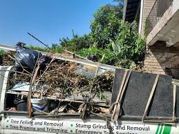 Best Basement Cleanout  in Ash Grove, MO